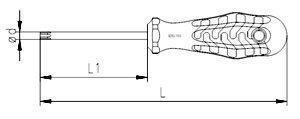 İzeltaş 4775180010 Torx Bit Screwdriver T10